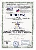 Диплом профессионального педагогического конкурса - Развлечение "Мыльные пузыри" - 1 место Диплом профессионального педагогического конкурса - Развлечение "Мыльные пузыри" - 1 место